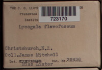 Image Associated With the Occurence